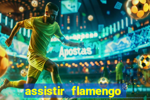 assistir flamengo futebol play hd